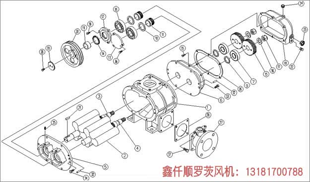 三叶罗茨鼓樱花草在线观看播放视频www安装示意图